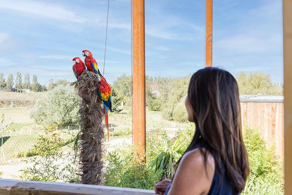 Parrot World - Les Lodges Crecy-la-Chapelle Exterior foto