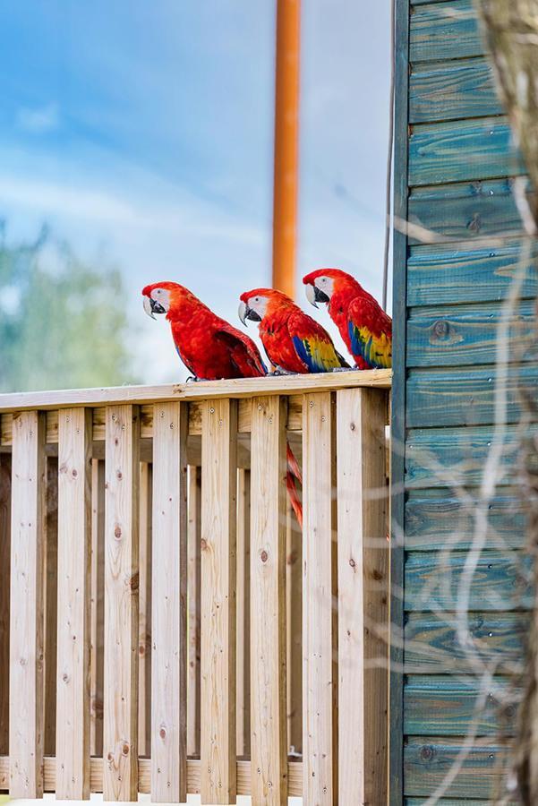 Parrot World - Les Lodges Crecy-la-Chapelle Exterior foto